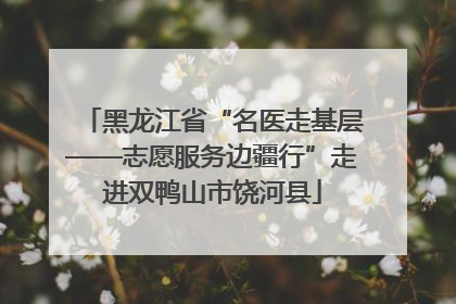 黑龙江省“名医走基层——志愿服务边疆行”走进双鸭山市饶河县