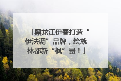 黑龙江伊春打造“伊法调”品牌，绘就林都新“枫”景！