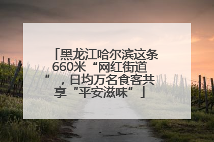 黑龙江哈尔滨这条660米“网红街道”，日均万名食客共享“平安滋味”