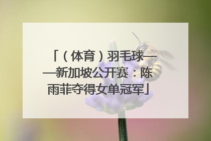 （体育）羽毛球——新加坡公开赛：陈雨菲夺得女单冠军