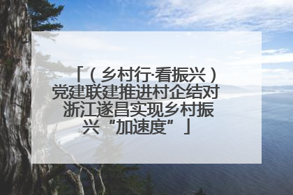 （乡村行·看振兴）党建联建推进村企结对 浙江遂昌实现乡村振兴“加速度”