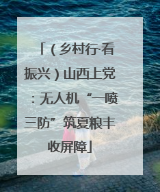 （乡村行·看振兴）山西上党：无人机“一喷三防”筑夏粮丰收屏障