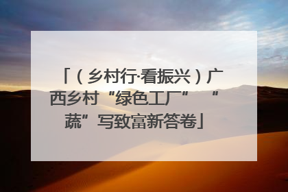 （乡村行·看振兴）广西乡村“绿色工厂” “蔬”写致富新答卷
