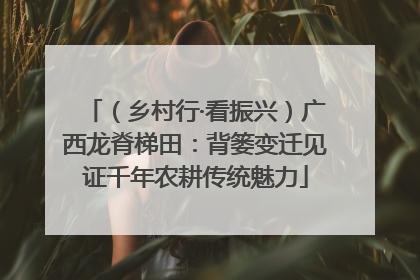 （乡村行·看振兴）广西龙脊梯田：背篓变迁见证千年农耕传统魅力