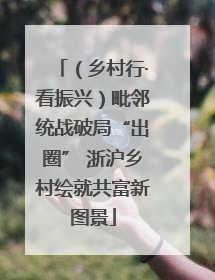（乡村行·看振兴）毗邻统战破局“出圈” 浙沪乡村绘就共富新图景