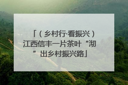 （乡村行·看振兴）江西信丰一片茶叶“沏”出乡村振兴路