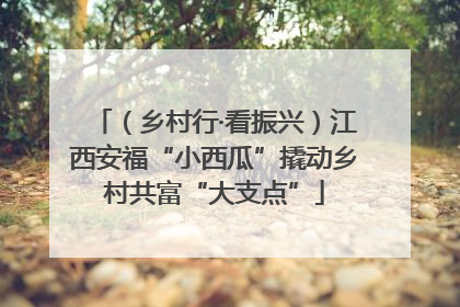 （乡村行·看振兴）江西安福“小西瓜”撬动乡村共富“大支点”