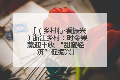 （乡村行·看振兴）浙江乡村：时令果蔬迎丰收 “甜蜜经济”促振兴
