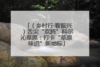 （乡村行·看振兴）舌尖“欢腾”科尔沁草原：打卡“草原味道”新地标