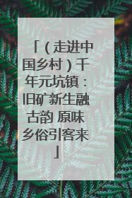 （走进中国乡村）千年元坑镇：旧矿新生融古韵 原味乡俗引客来