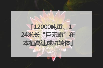 12000吨重、124米长“巨无霸”在本桓高速成功转体