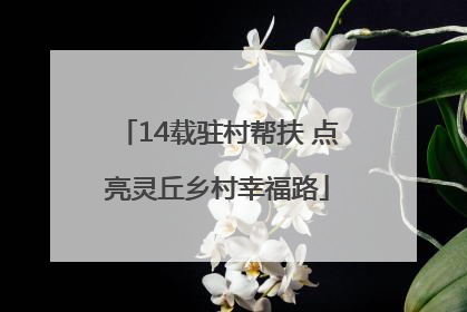 14载驻村帮扶 点亮灵丘乡村幸福路