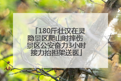 180斤壮汉在灵隐景区爬山时摔伤 景区公安奋力3小时接力抬担架送医