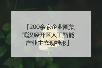 200余家企业聚集 武汉经开区人工智能产业生态现雏形
