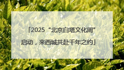 2025“北京白塔文化周”启动，来西城共赴千年之约