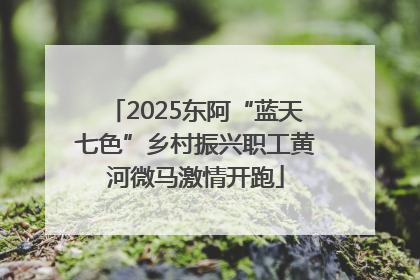 2025东阿“蓝天七色”乡村振兴职工黄河微马激情开跑