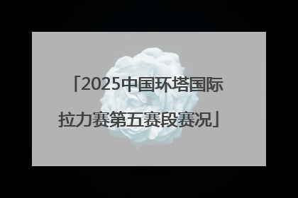 2025中国环塔国际拉力赛第五赛段赛况