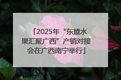 2025年“东盟水果汇聚广西”产销对接会在广西南宁举行