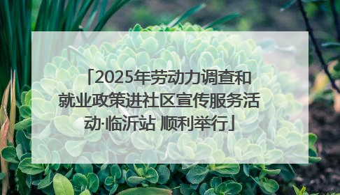 2025年劳动力调查和就业政策进社区宣传服务活动·临沂站 顺利举行