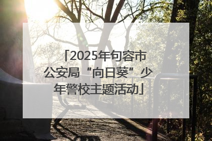 2025年句容市公安局“向日葵”少年警校主题活动