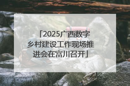 2025广西数字乡村建设工作现场推进会在富川召开