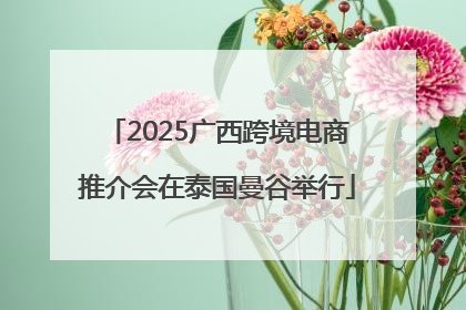 2025广西跨境电商推介会在泰国曼谷举行
