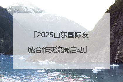2025山东国际友城合作交流周启动