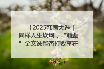 2025韩国大选｜同样人生坎坷，“前辈”金文洙能否打败李在明“逆风翻盘”？