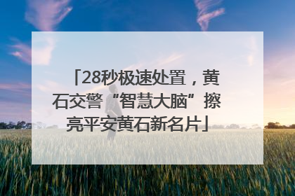 28秒极速处置，黄石交警“智慧大脑”擦亮平安黄石新名片