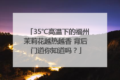 35℃高温下的福州茉莉花越热越香 背后门道你知道吗？