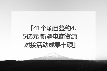 41个项目签约4.5亿元 新疆电商资源对接活动成果丰硕
