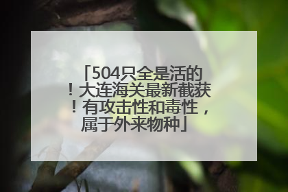 504只全是活的！大连海关最新截获！有攻击性和毒性，属于外来物种