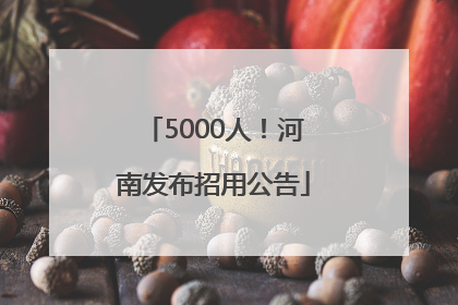 5000人！河南发布招用公告