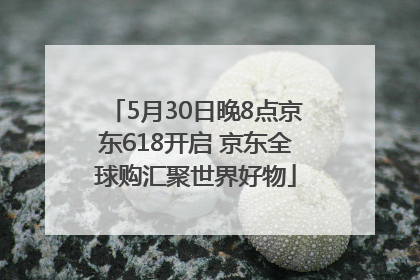 5月30日晚8点京东618开启 京东全球购汇聚世界好物