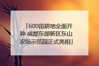 600亩耕地全面开种 成都东部新区东山农场示范园正式亮相