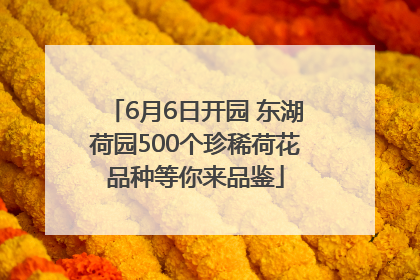 6月6日开园 东湖荷园500个珍稀荷花品种等你来品鉴
