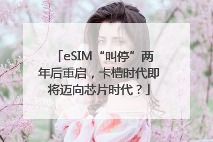 eSIM“叫停”两年后重启，卡槽时代即将迈向芯片时代？
